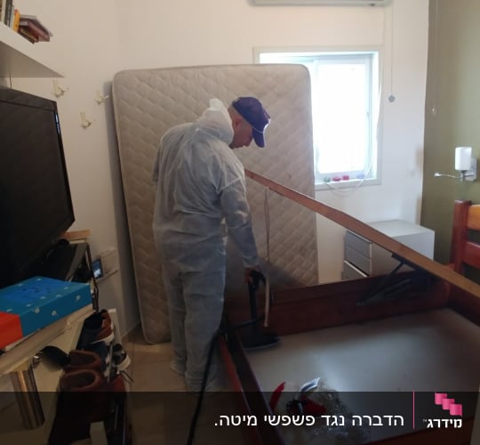 הדברה נגד פשפשי מיטה.